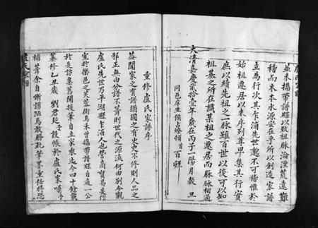 浙江卢氏族谱-卢氏宗谱 [不分卷].pdf电子版插图4