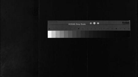 浙江童氏族谱-童氏宗谱 [2卷].pdf电子版