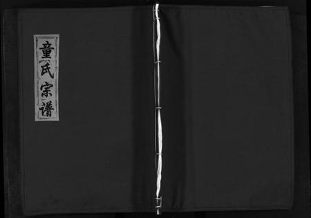 浙江童氏族谱-童氏宗谱 [2卷].pdf电子版插图1