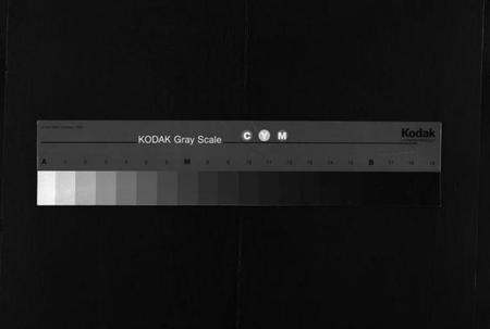 湖北黄氏族谱-黄氏宗谱 [26卷](别名：Huang Shi Zong Pu、中和金峯黄氏宗谱).pdf电子版