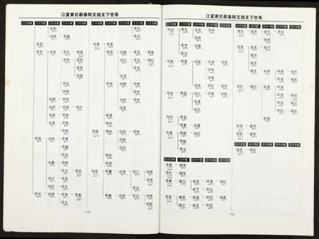 湖北黄氏族谱-黄氏宗谱 [仅存卷下及卷末](别名：江夏黄氏蕲春斯文祖支下宗谱).pdf电子版插图5