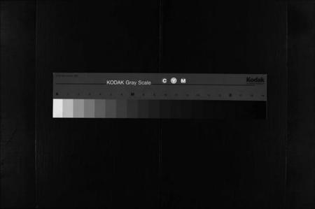 湖北骆氏族谱-骆氏八修宗谱 [卷数不详](别名：Luo Shi Ba Xiu Zong Pu、骆氏八修宗谱、骆氏宗谱).pdf电子版