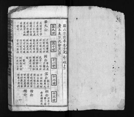 湖北骆氏族谱-骆氏八修宗谱 [卷数不详](别名：Luo Shi Ba Xiu Zong Pu、骆氏八修宗谱、骆氏宗谱).pdf电子版插图2