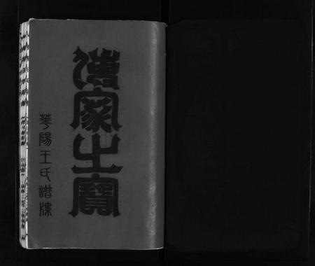 浙江王氏族谱-华阳王氏宗谱 [残卷].pdf电子版插图2