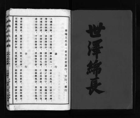 浙江王氏族谱-华阳王氏宗谱 [残卷].pdf电子版插图3