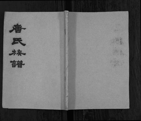 湖南唐氏族谱-唐氏族谱[不分卷].pdf电子版