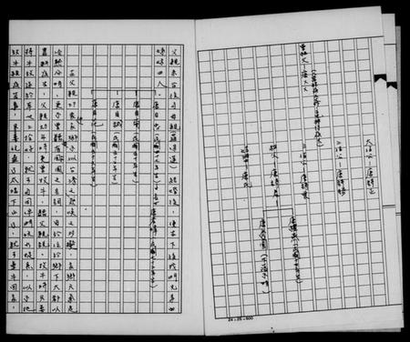 湖南唐氏族谱-唐姓家谱.pdf电子版插图4