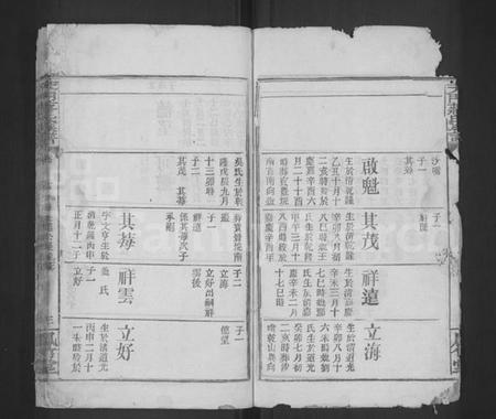 湖北蒋氏族谱-天门蒋氏宗谱 [残卷](别名：Tian Men Jiang Shi Zong Pu).pdf电子版插图3