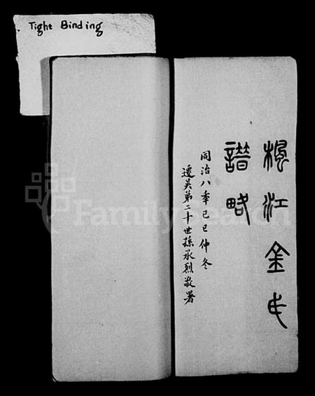 江苏金氏族谱-枫江金氏谱略 [卷数杂异](休宁金氏宗谱).pdf电子版插图1