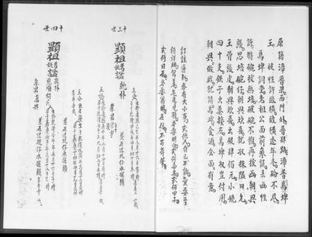 湖南王氏族谱-王家祖公录注.pdf电子版插图4