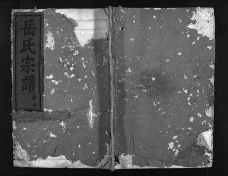 浙江岳氏族谱-兰江岳氏宗谱 [残卷].pdf电子版插图1