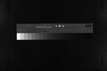 湖北金氏族谱-金氏宗谱 [49卷,首3卷](别名：Jin Shi Zong Pu).pdf电子版