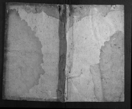 湖南王氏族谱-王氏冬至谱.pdf电子版