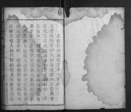 湖南王氏族谱-王氏冬至谱.pdf电子版插图1