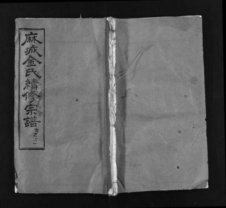 湖北金氏族谱-麻城金氏续修宗谱 [44卷,首11卷](别名：麻城浮桥金氏宗谱、Ma Cheng Jin Shi Xu Xiu Zong Pu、金氏宗谱).pdf电子版插图1