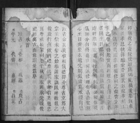 湖南王氏族谱-王氏冬至谱.pdf电子版插图2