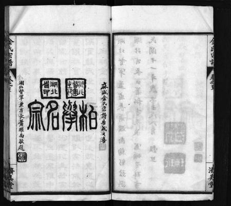 湖北金氏族谱-麻城金氏续修宗谱 [44卷,首11卷](别名：麻城浮桥金氏宗谱、Ma Cheng Jin Shi Xu Xiu Zong Pu、金氏宗谱).pdf电子版插图5