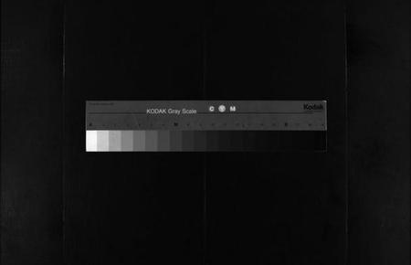 浙江袁氏族谱-袁氏宗谱 [不分卷].pdf电子版