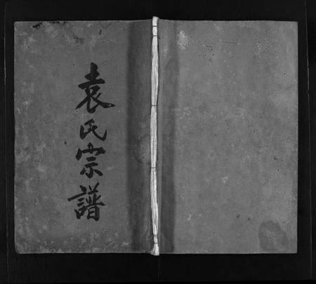 浙江袁氏族谱-袁氏宗谱 [不分卷].pdf电子版插图1