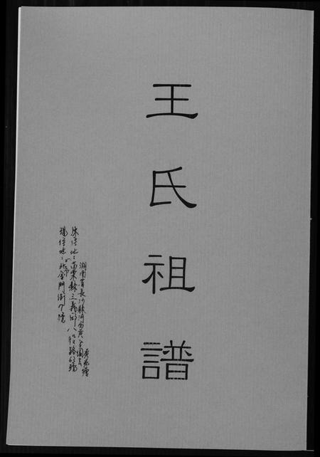 湖南王氏族谱-王氏祖谱.pdf电子版