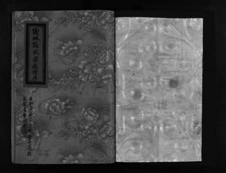 浙江翁氏族谱-袋球翁氏宗谱历代谱序 [不分卷].pdf电子版插图2