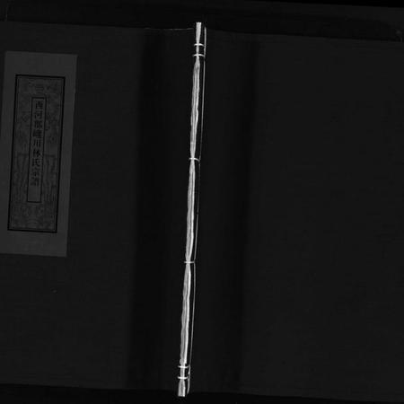 浙江林氏族谱-西河郡巉川林氏宗谱 [7卷,及卷首,艺文1卷].pdf电子版插图1