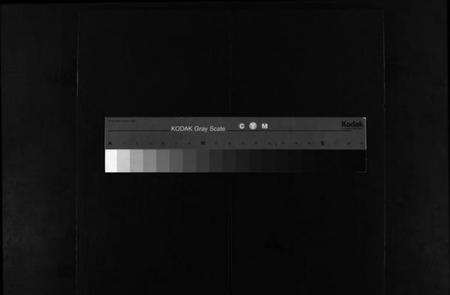 浙江陈氏族谱-西章陈氏宗谱 [残卷].pdf电子版