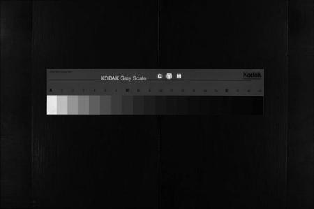 浙江陈氏族谱-观岩陈氏宗谱 [10卷].pdf电子版