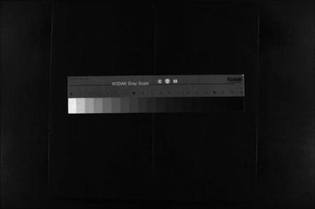 浙江谢氏族谱-谢氏宗谱 [不分卷].pdf电子版