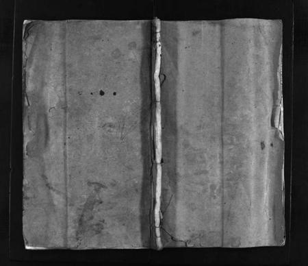 浙江谢氏族谱-谢氏宗谱 [不分卷].pdf电子版插图1