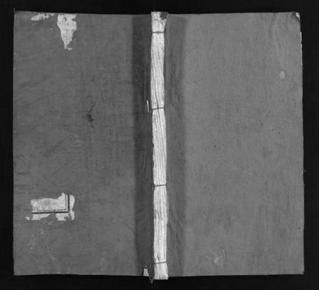 湖北雷氏族谱-雷氏宗谱 [7卷,首1卷](别名：冯翊家乘、雷氏宗谱、Lei Shi Zong Pu、Lei Shì Zong Pu、冯翊家承).pdf电子版插图1