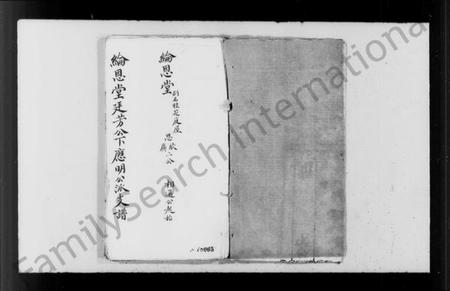 中国李氏族谱-李氏宗谱(别名：纶恩堂廷芳公下应明公派支谱).pdf电子版插图3