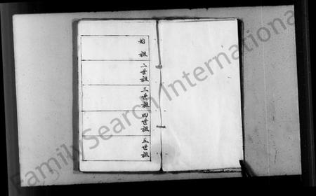 中国李氏族谱-李氏宗谱(别名：纶恩堂廷芳公下应明公派支谱).pdf电子版插图5