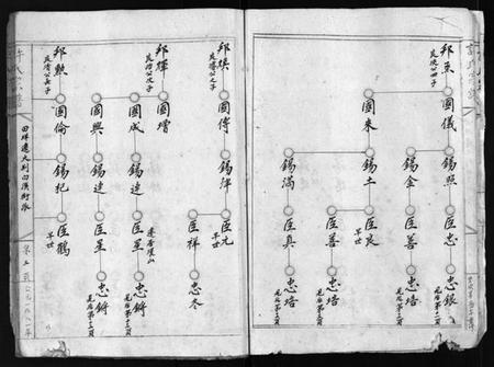 浙江许氏族谱-象河田垟迁大荆白溪许氏宗谱 [残卷].pdf电子版插图5