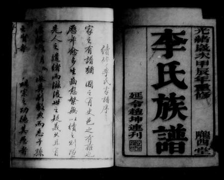 江苏李氏族谱-李氏族谱 [12卷](别名：如皋西乡李氏族谱).pdf电子版插图3