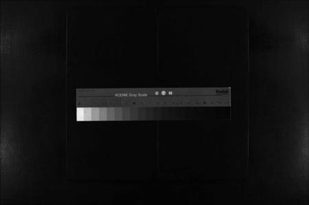 浙江陈氏族谱-陈氏宗谱 [不分卷].pdf电子版