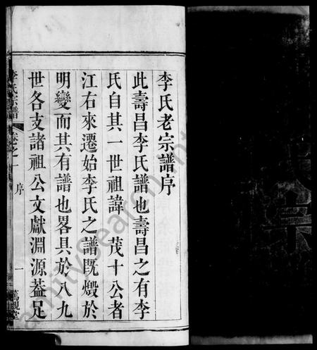 湖北李氏族谱-寿昌李氏宗谱 [11卷](别名：寿昌李氏宗谱、Shouchang Li Family Genealogy from Hubei Province China).pdf电子版插图4