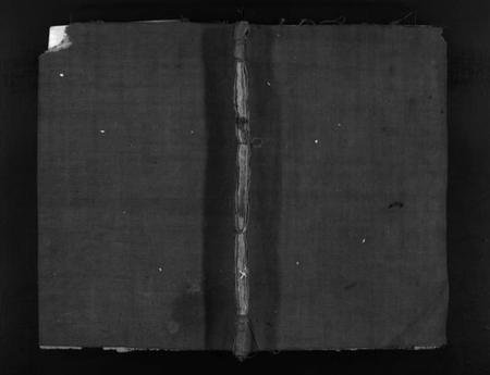 浙江陈氏族谱-陈氏族谱 [不分卷].pdf电子版插图1