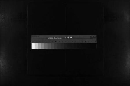 浙江陈氏族谱-陈氏石角寮派房谱 [不分卷].pdf电子版