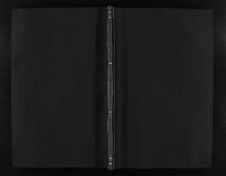 湖北李氏族谱-李氏宗谱(别名：Li Shi Zong Pu).pdf电子版插图1