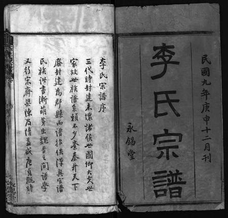 湖北李氏族谱-李氏宗谱 [10卷,含卷首](别名：Li Shi Zong Pu).pdf电子版插图2