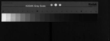 湖北李氏族谱-李氏宗谱 [8卷,首2卷](别名：黄冈上伍乡李氏宗谱、Li Shi Zong Pu).pdf电子版