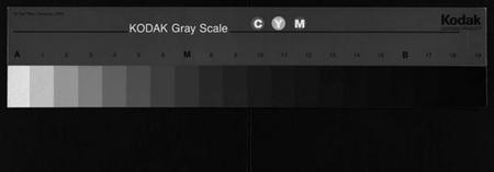 湖北李氏族谱-李氏宗谱[12卷,首2卷](别名：Li Shi Zong Pu).pdf电子版