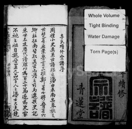 湖北李氏族谱-李氏续修宗谱 [48卷,首5卷](别名：楚黄李氏宗谱、李氏宗谱).pdf电子版插图2