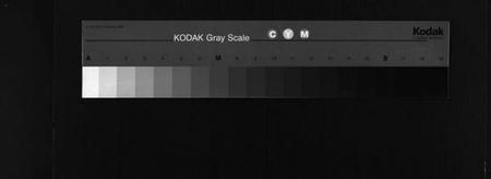 湖北李氏族谱-李氏宗谱 [12卷,首1卷](别名：黄冈上伍乡李氏宗谱、Li Shi Zong Pu).pdf电子版