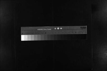 湖北廖氏族谱-廖氏七修宗谱 [37卷,首3卷](别名：廖氏宗谱、Liao Shi Qi Xiu Zong Pu).pdf电子版