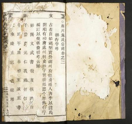 浙江施氏族谱-麻川施氏宗谱.pdf电子版插图1