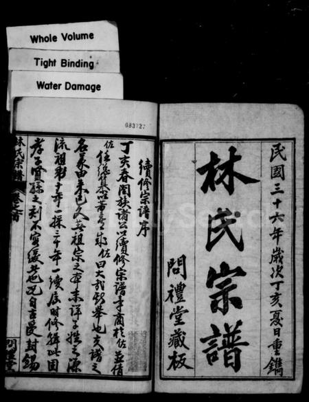 湖北林氏族谱-林氏宗谱 [10卷,首3卷](别名：西陵林氏宗谱).pdf电子版插图1