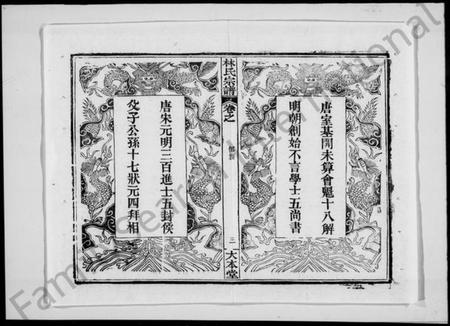 湖北林氏族谱-林氏宗谱 [19卷,及卷首](别名：黄冈林氏宗谱世系).pdf电子版插图5