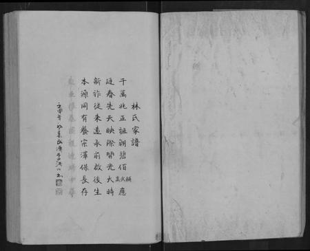 湖北林氏族谱-林氏宗谱 [残卷](别名：Lin Shi Zong Pu).pdf电子版插图2